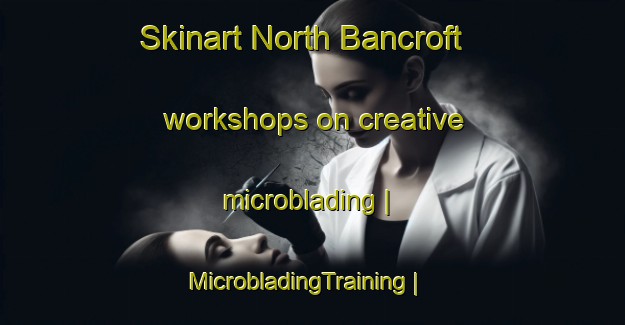 Skinart North Bancroft workshops on creative microblading | MicrobladingTraining | MicrobladingClasses | SkinartTraining-United States